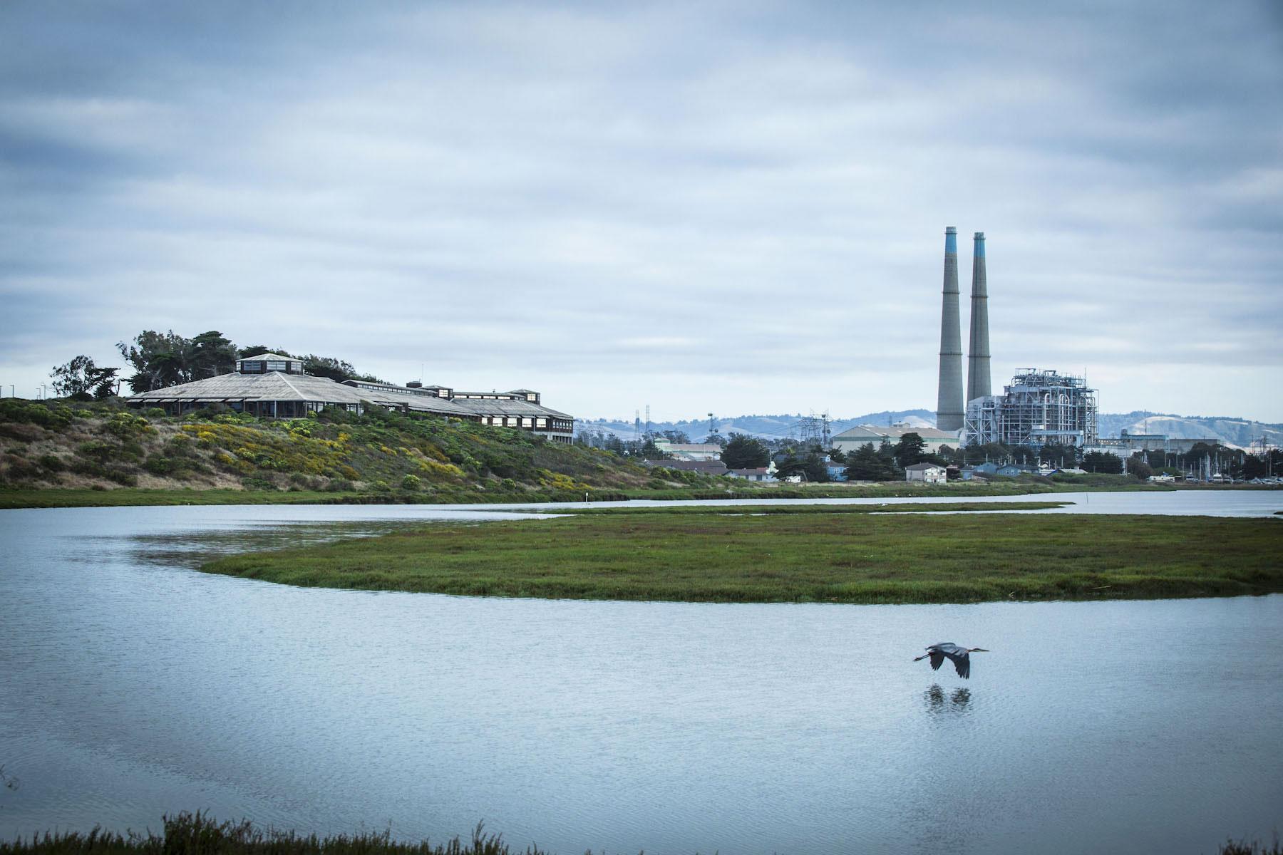 moss landing marine laboratories