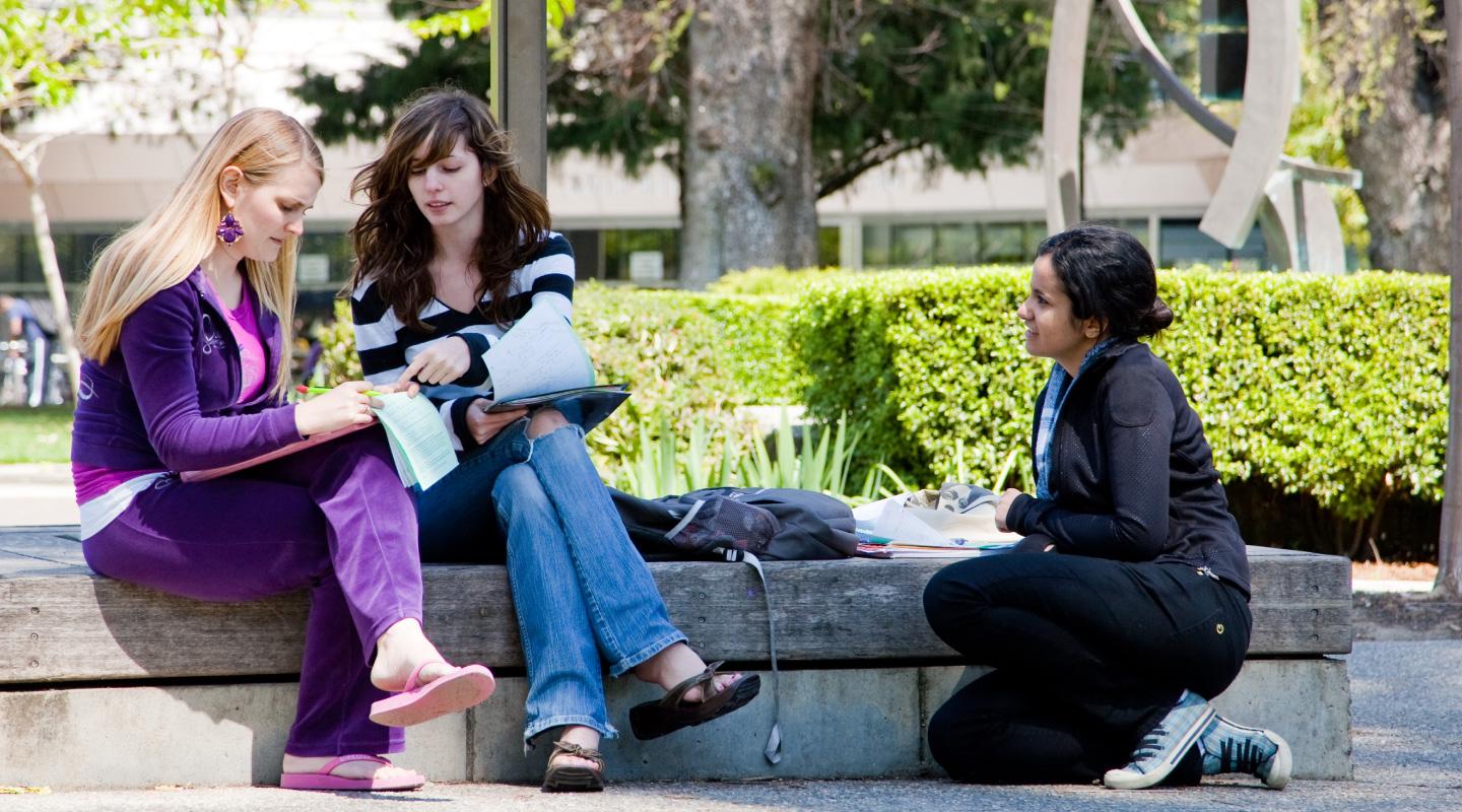 Students studying outdoors.